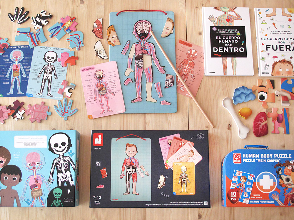 El cuerpo humano: anatomía para niños, con juegos y libros