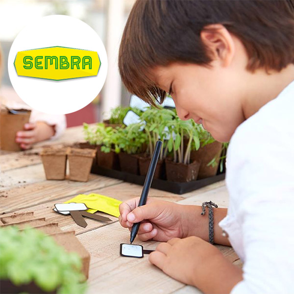 Sembra