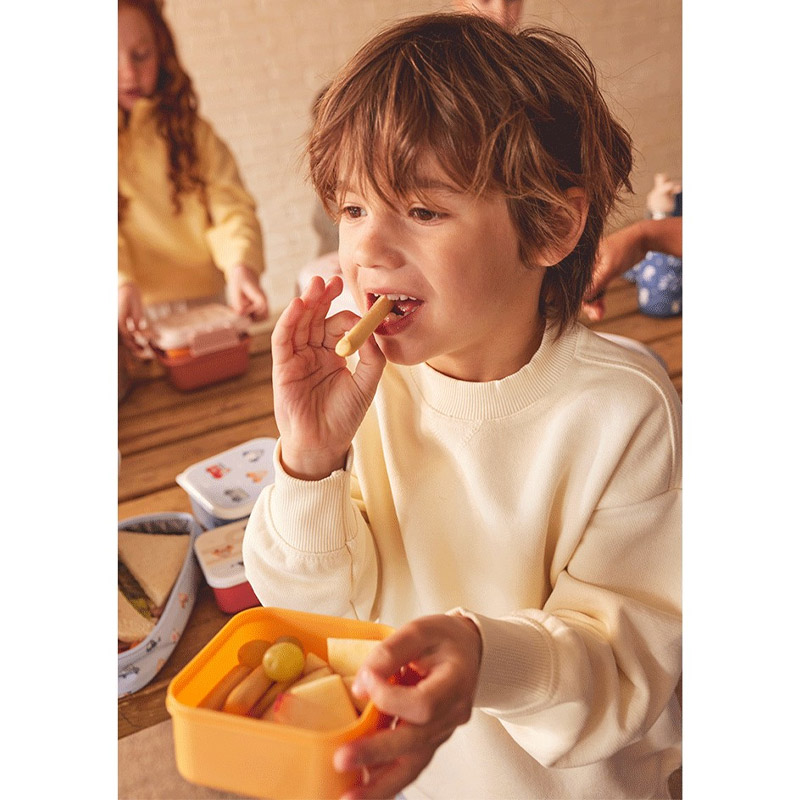 3 Cajas Almuerzo Magical Forest