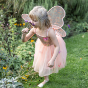 Asas de Borboleta Bliss Pêssego