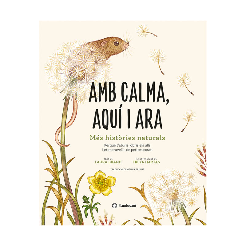 Amb calma, aquí i ara