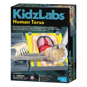 Anatomía del Cuerpo Humano