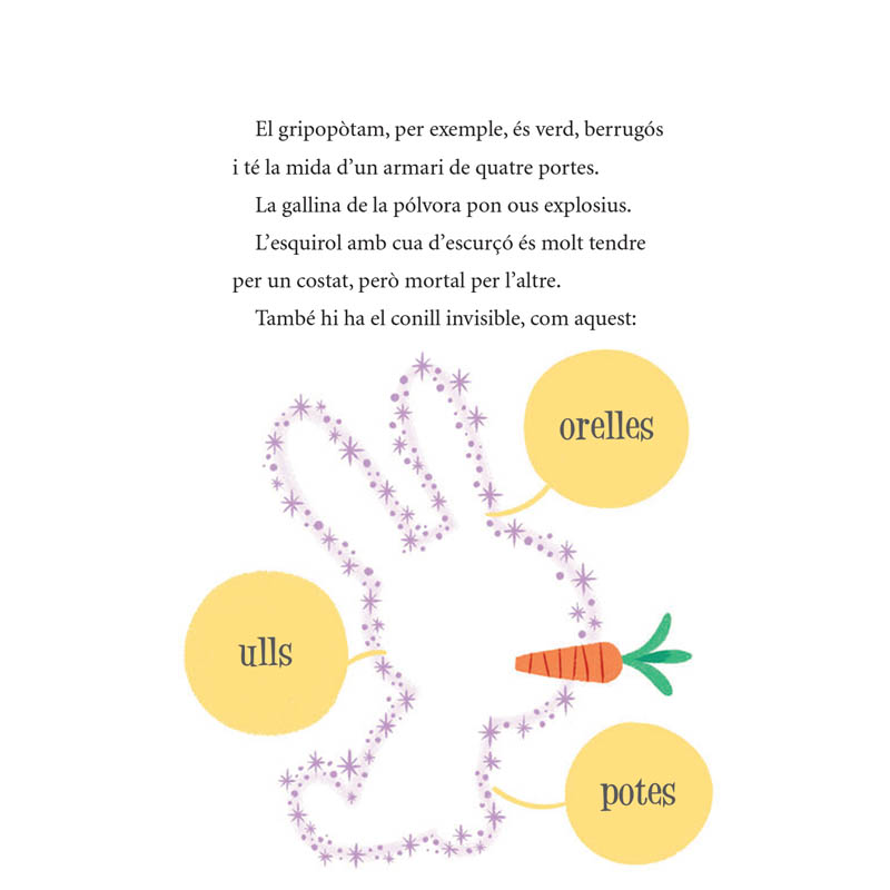 Anna Kadabra 2: Un problema amb ales