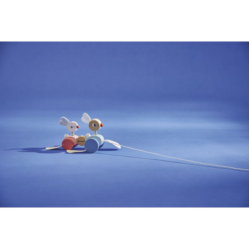 Arrastre Conejitos para Pasear