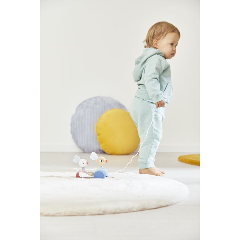 Arrastre Conejitos para Pasear