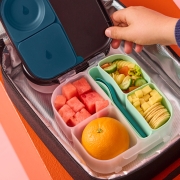 Bandeja organizadora de silicona para Caja Almuerzo Forest