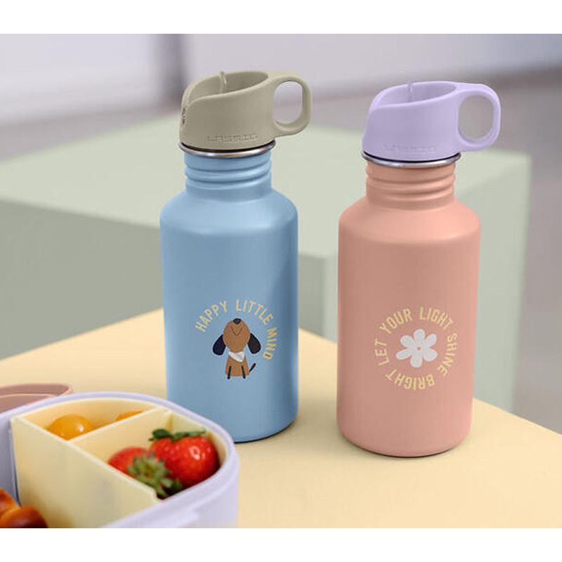 Garrafa Aço Inox Party Rose 500 ml