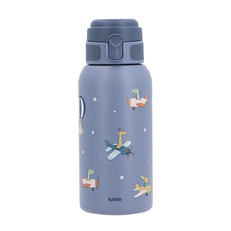 Botella de Acero Térmica Planes 500ml