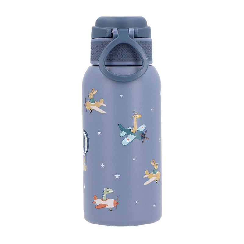 Botella de Acero Térmica Planes 500ml