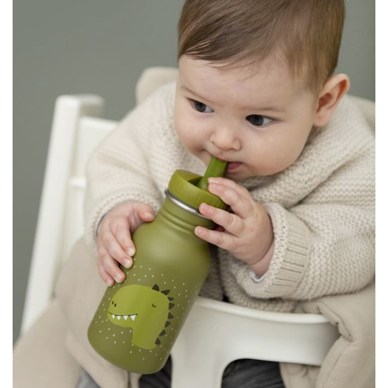 Botella Dino 350 ml