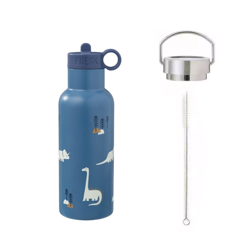 Botella Termo Dinosaurios 500 ml