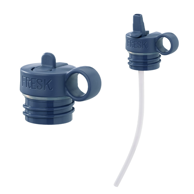 Botella Termo Dinosaurios 500 ml