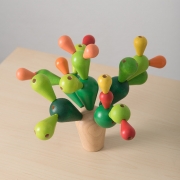 Cactus Equilibrista