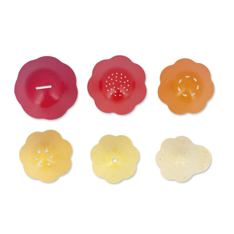 Cangrejo Bernard y su Caparazón