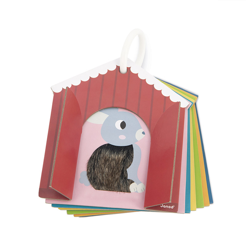 Cartas Tácteis Quinta