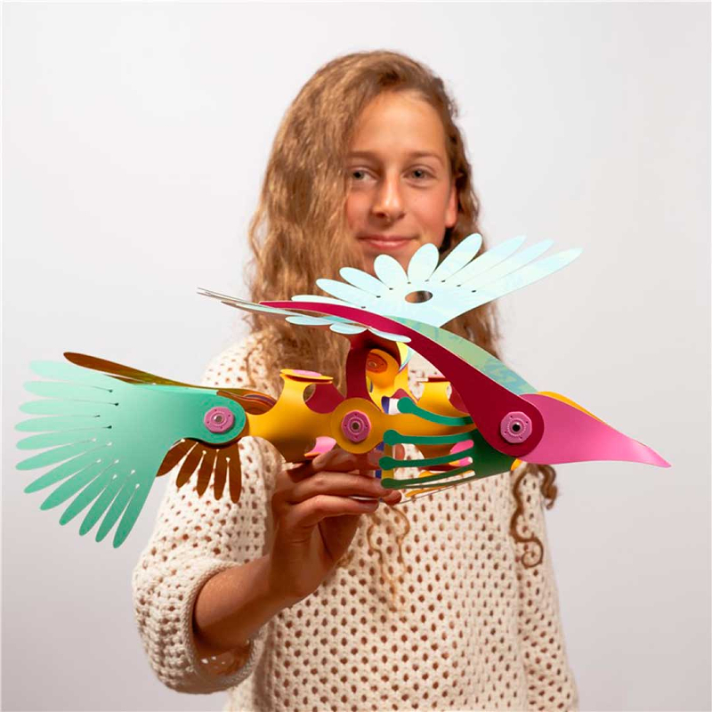 Clixo Tropical Birds Pack 22 peças