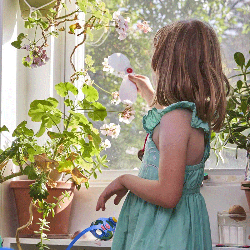 Clixo Window Pack 24 peças