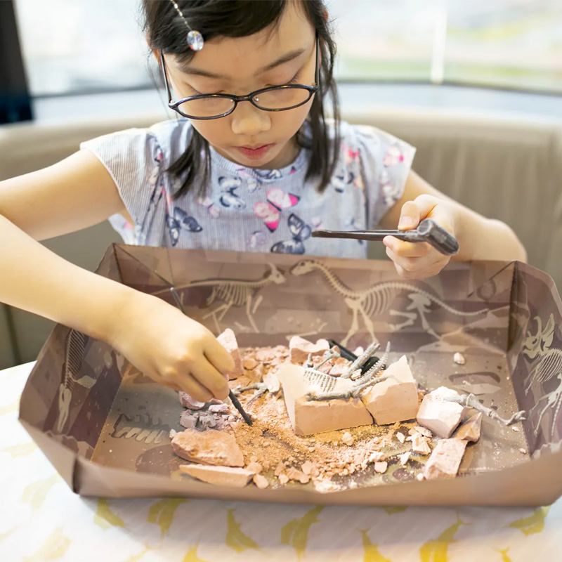 Dino Kit Tiranossauro Rex