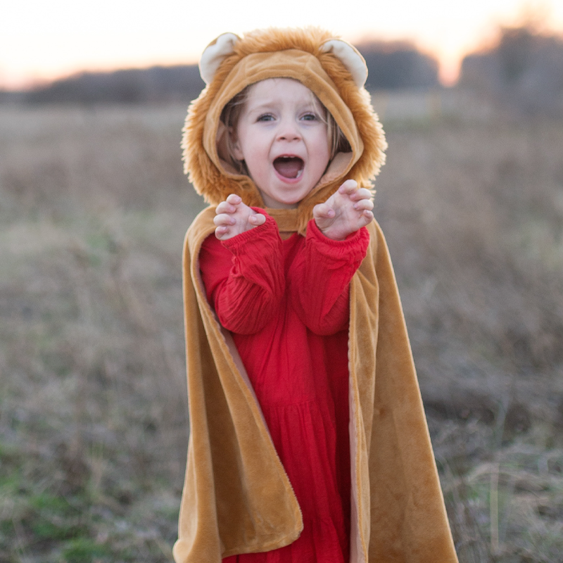 Fato Capa Veludo Leão 2-3 anos