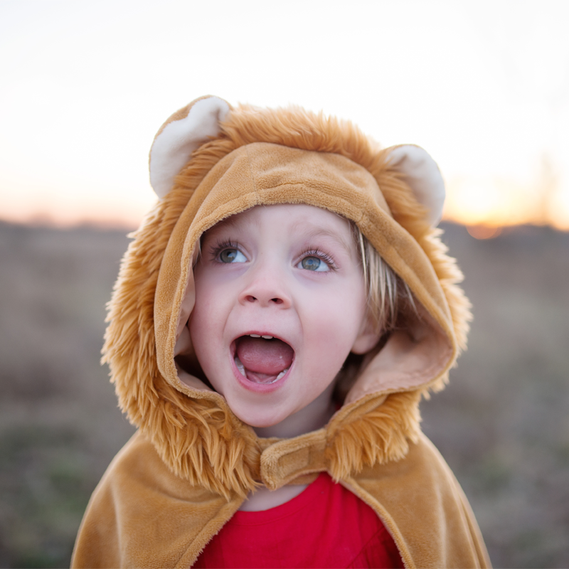 Fato Capa Veludo Leão 2-3 anos