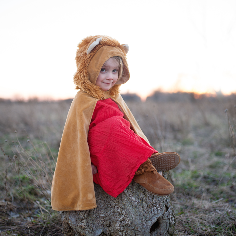 Fato Capa Veludo Leão 2-3 anos