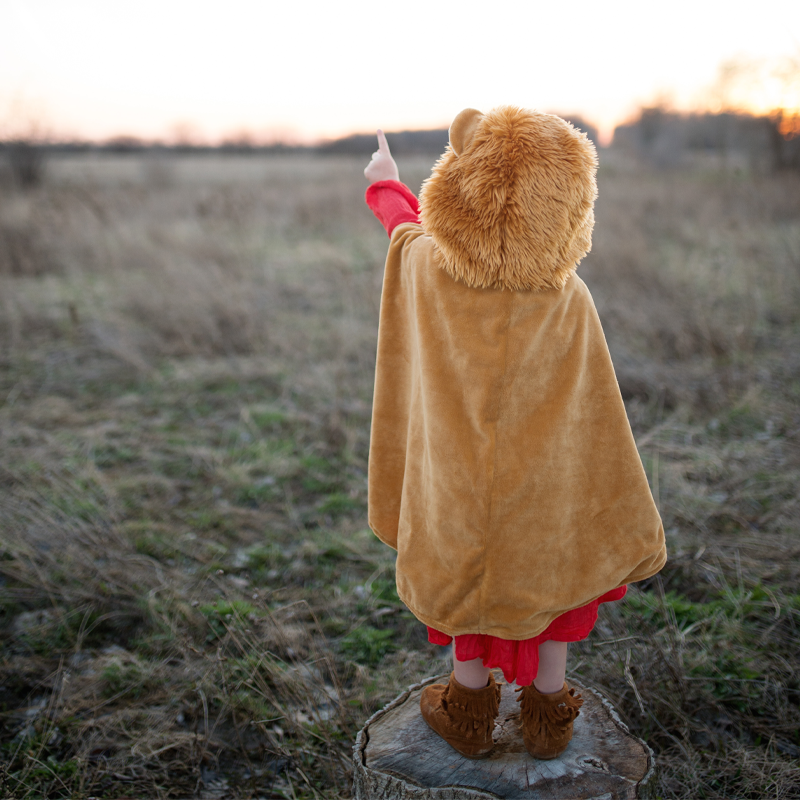 Fato Capa Veludo Leão 2-3 anos