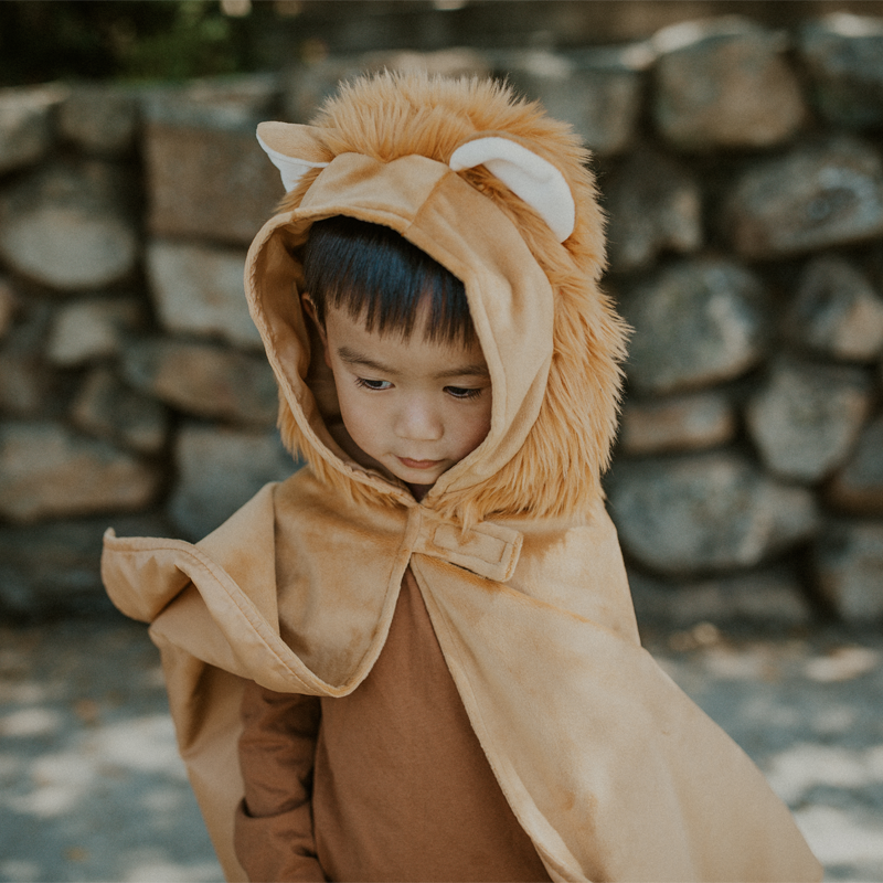 Fato Capa Veludo Leão 2-3 anos