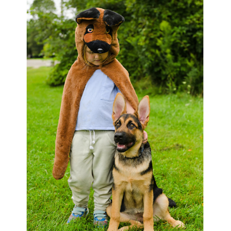 Fato de Cão com capa 2-3 anos