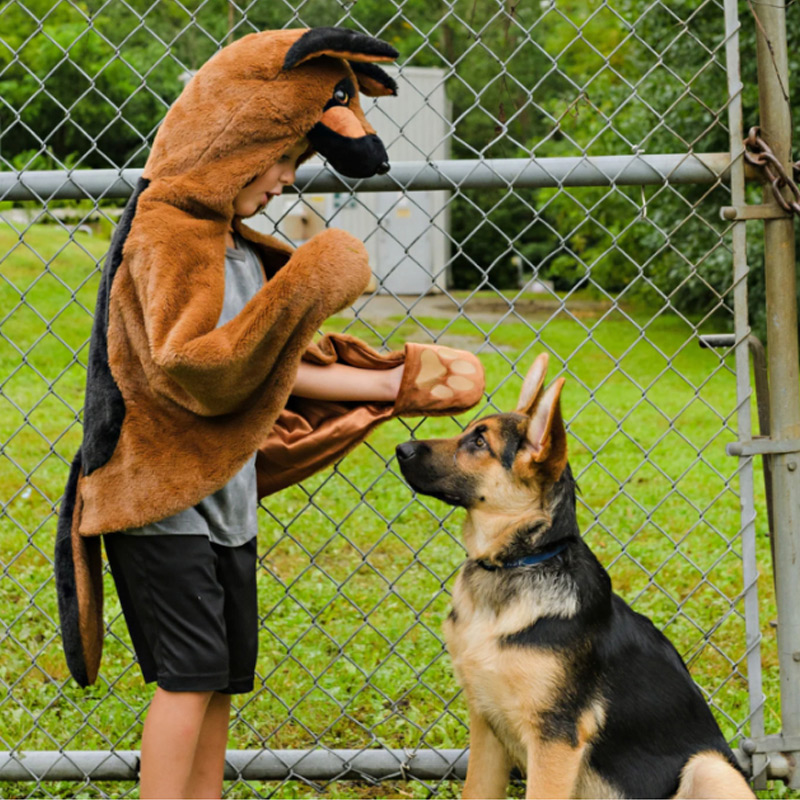 Fato de Cão com capa 2-3 anos