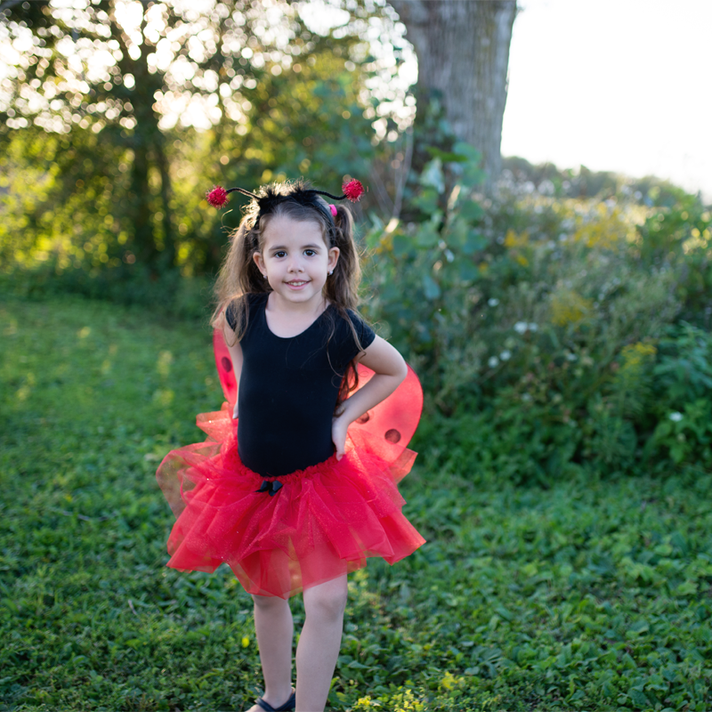 Fato de Joaninha com Tutu Brilhante, Asas e Tiara 4-6 anos