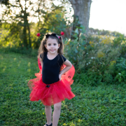 Fato de Joaninha com Tutu Brilhante, Asas e Tiara 4-6 anos