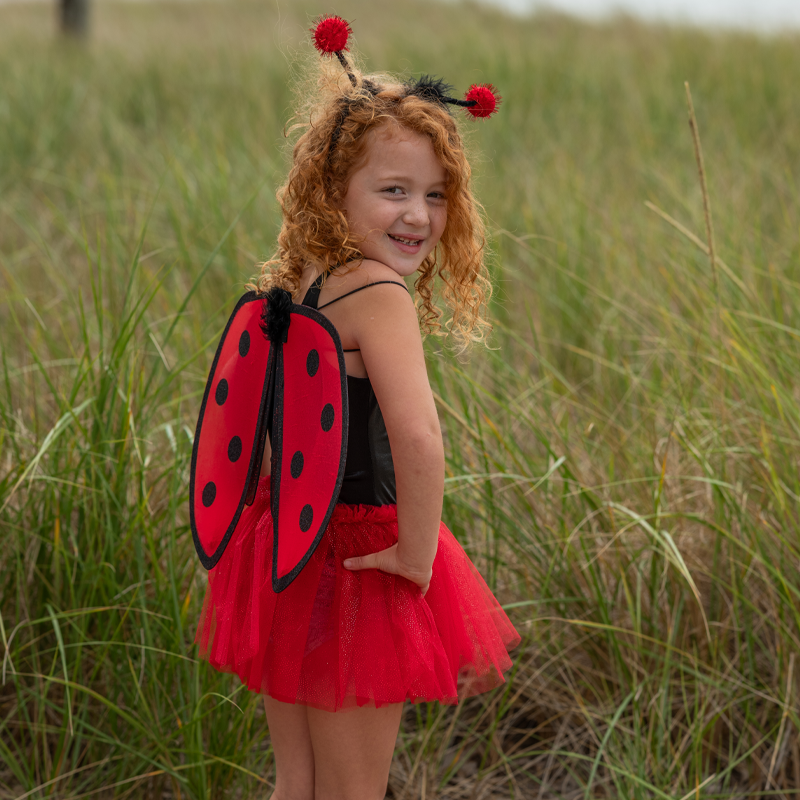 Fato de Joaninha com Tutu Brilhante, Asas e Tiara 4-6 anos