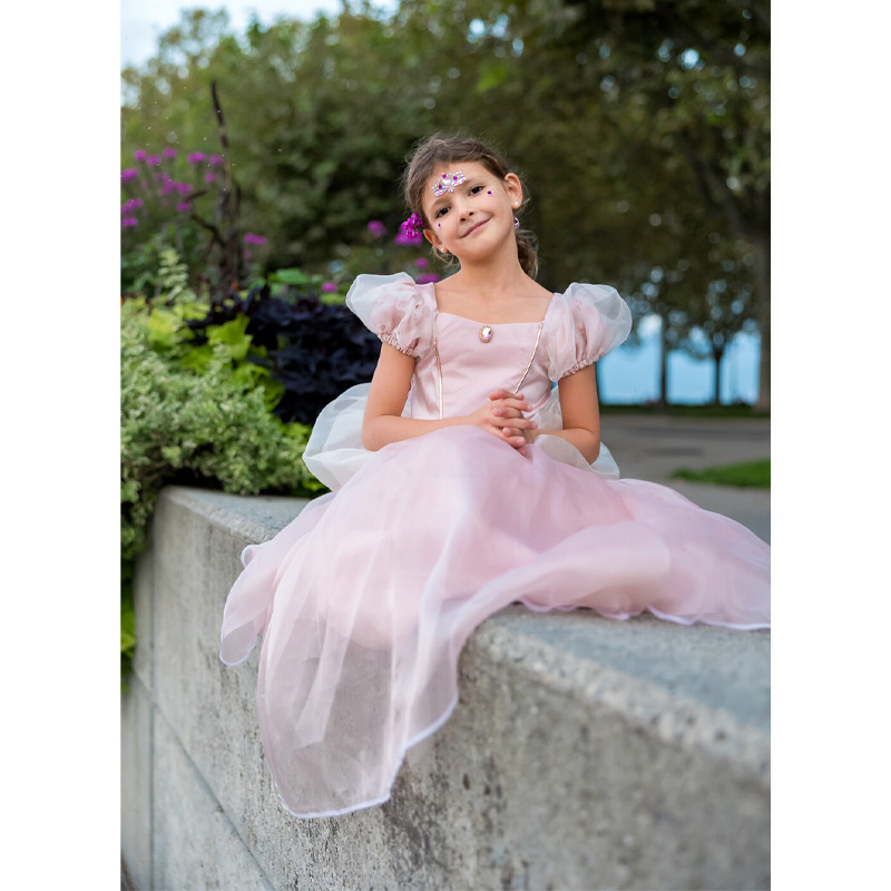 Disfraz Princesa Rosa 5-6 años