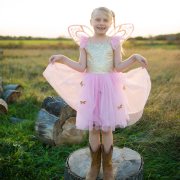 Fato Vestido Borboleta Dourado com Asas 5-7 anos