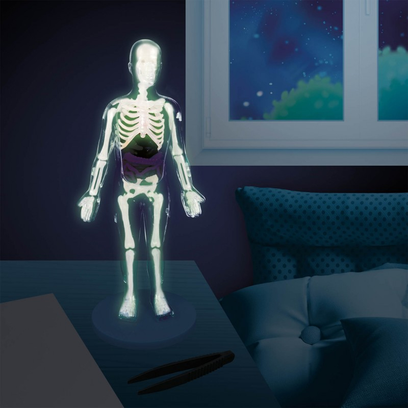 Buki El Cuerpo Humano
