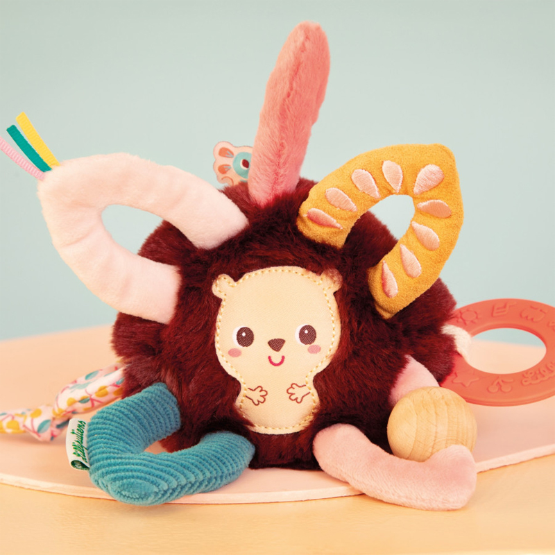 Ouriço Anéis Sensoriais