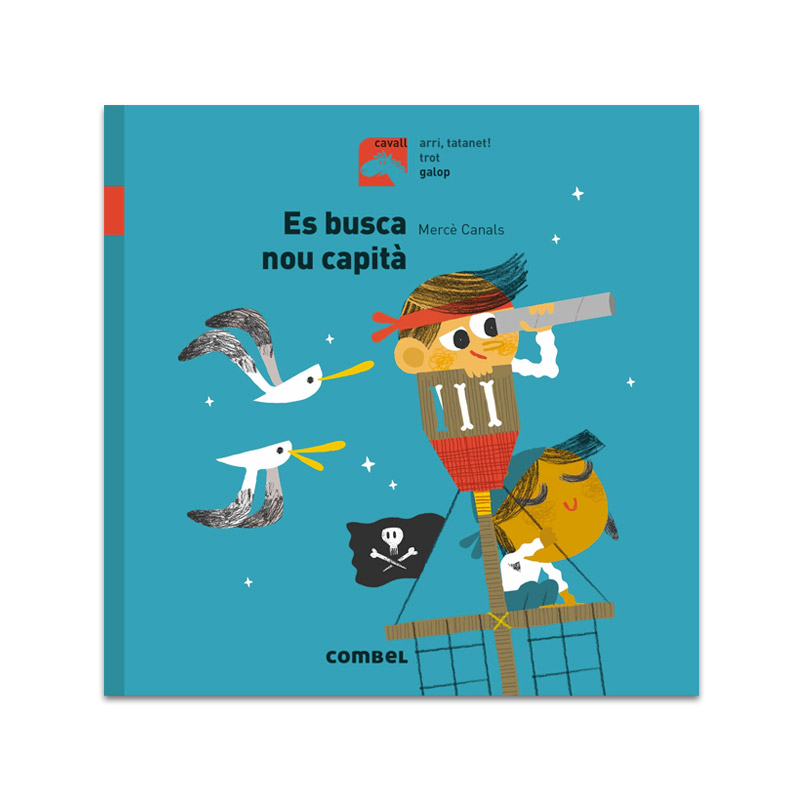 Es Busca Nou Capità