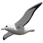 Eugy Albatros