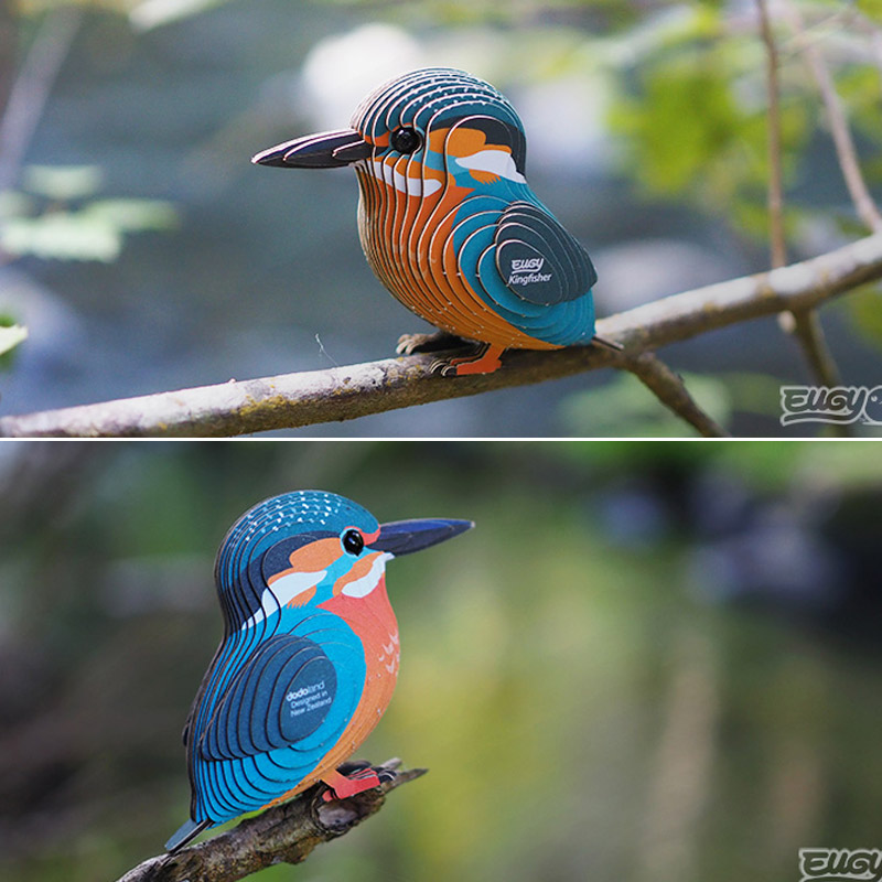 Eugy Martín Pescador