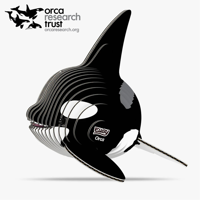 Eugy Orca