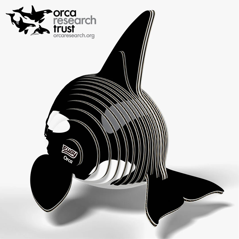 Eugy Orca