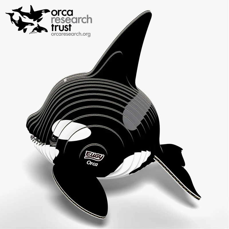 Eugy Orca