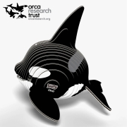 Eugy Orca