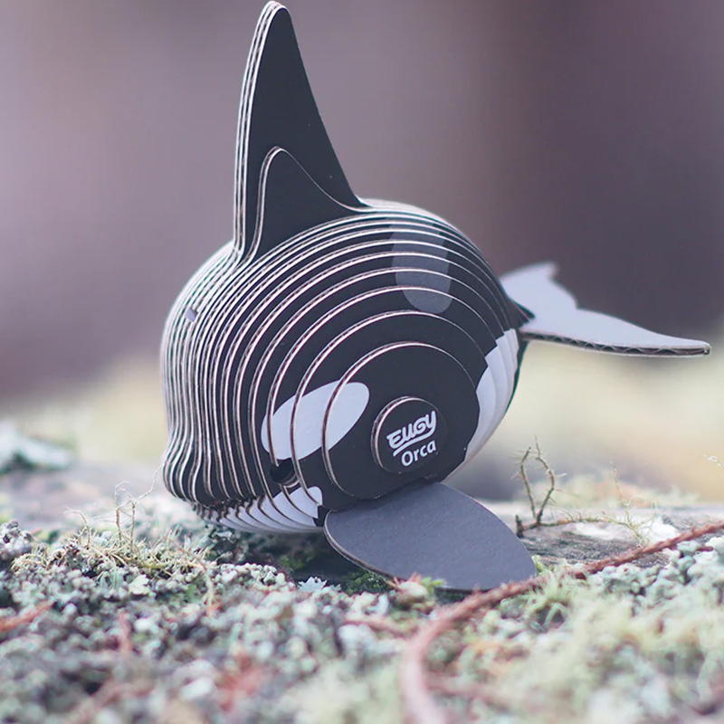 Eugy Orca