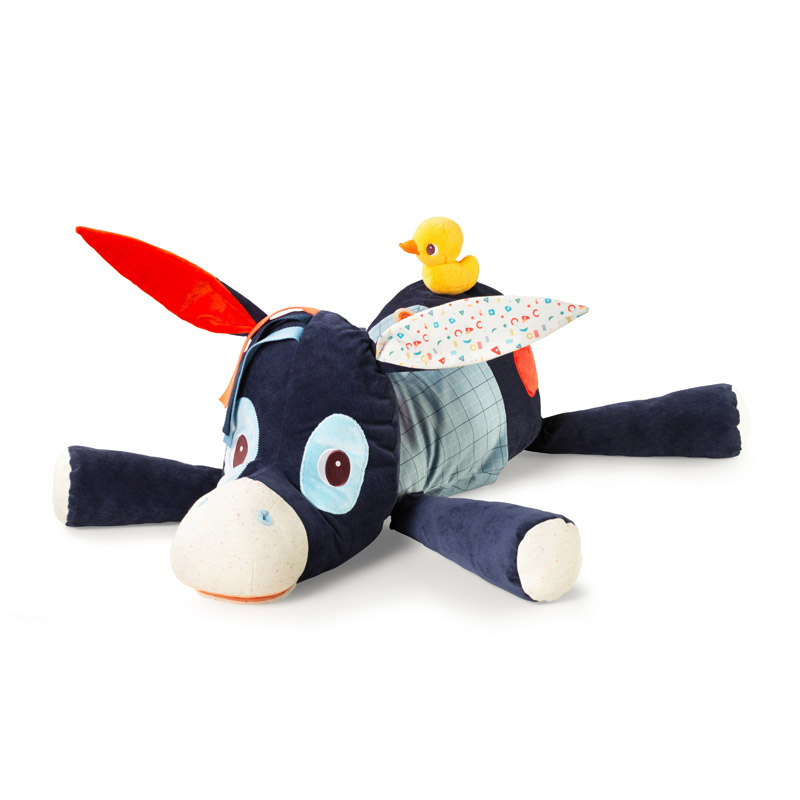 Ignace Esconde sus Secretos