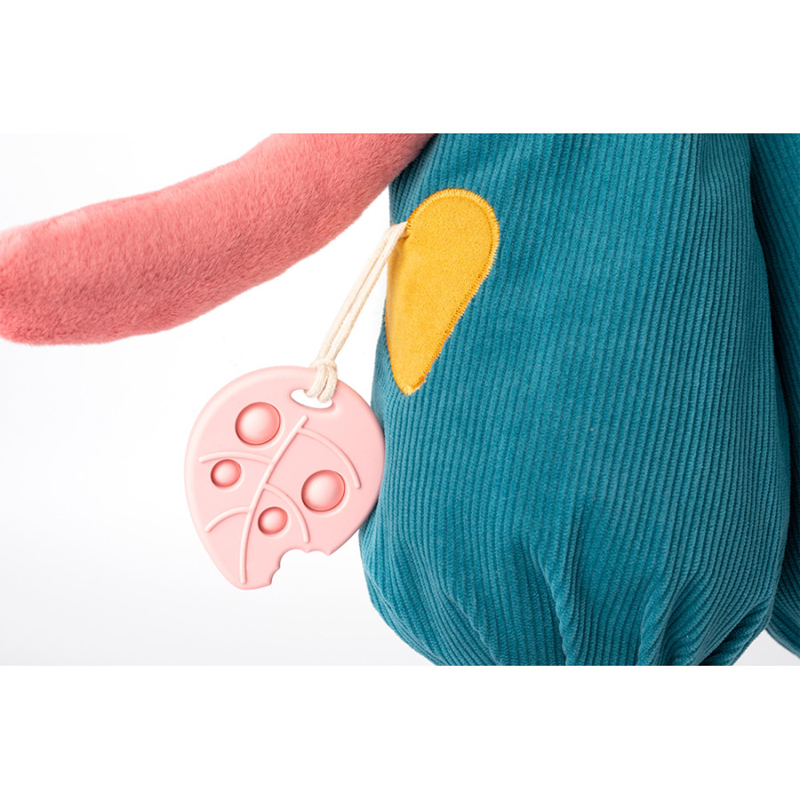 Jeanne Gran Gato das Descobertas