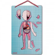 Juego de Anatomía: Bodymagnet