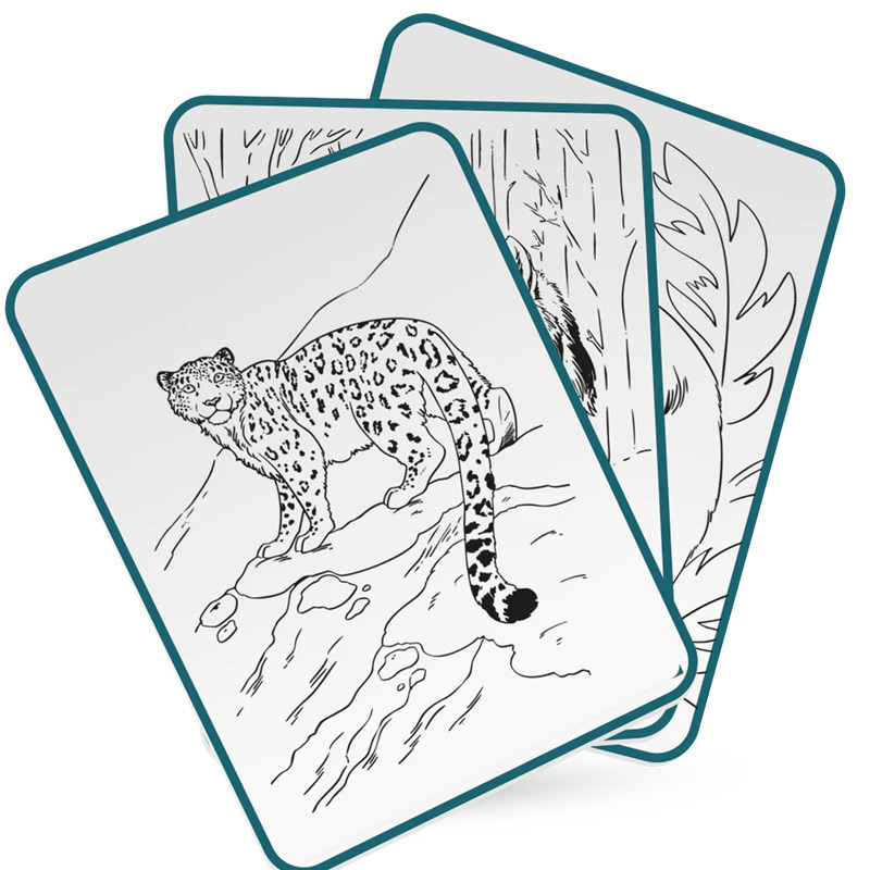 Kidydraw PAD Animales