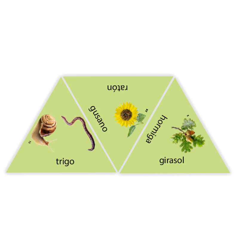 Learning Star Bosque, Campo y Prado