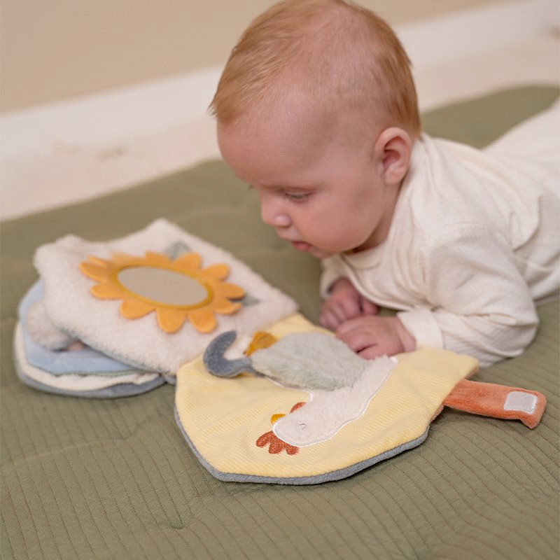 Livro de Actividades Quinta